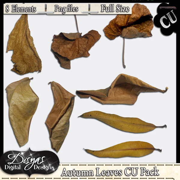 AUTUMN LEAVES CU PACK - FULL SIZE - Click Image to Close